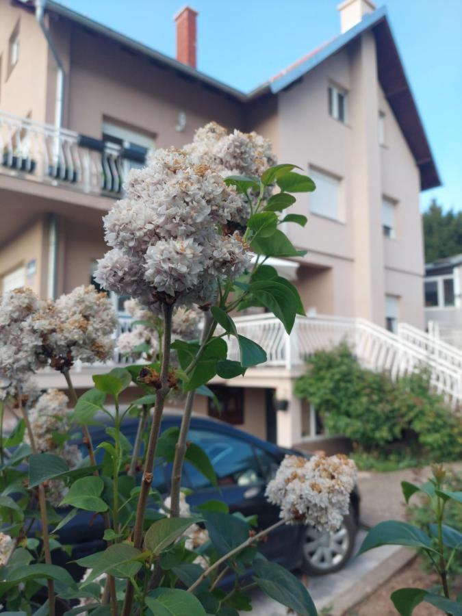 M Apartments Soko Banja Bagian luar foto
